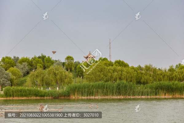 張騫公園