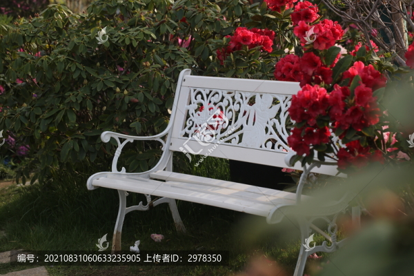 景區(qū)排椅