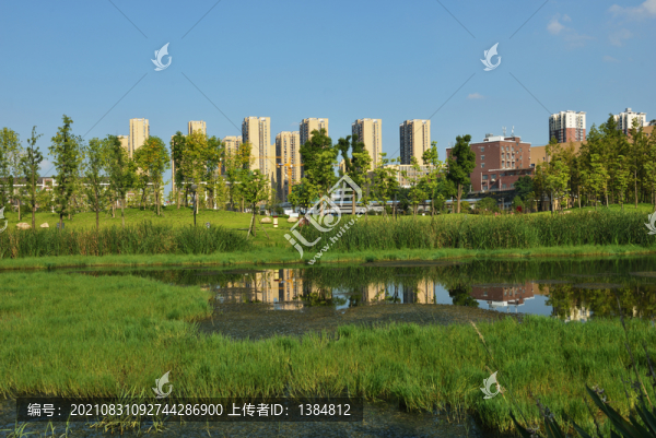 濕地公園