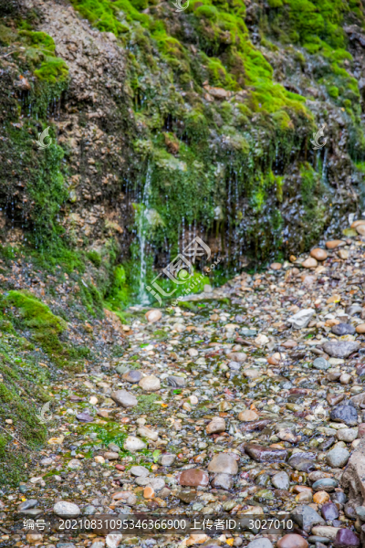 宗朗靈泉圣水池