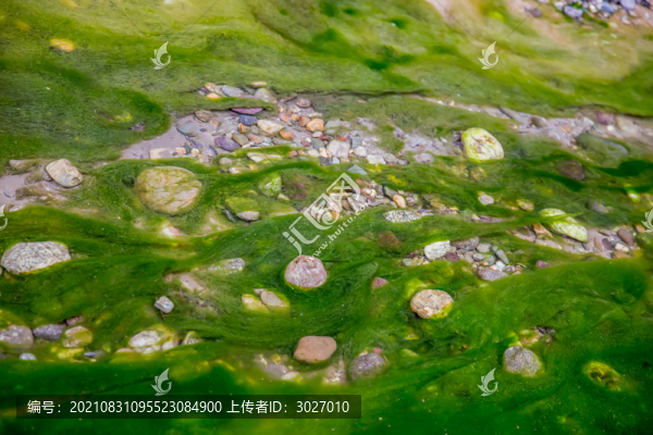 宗朗靈泉圣水