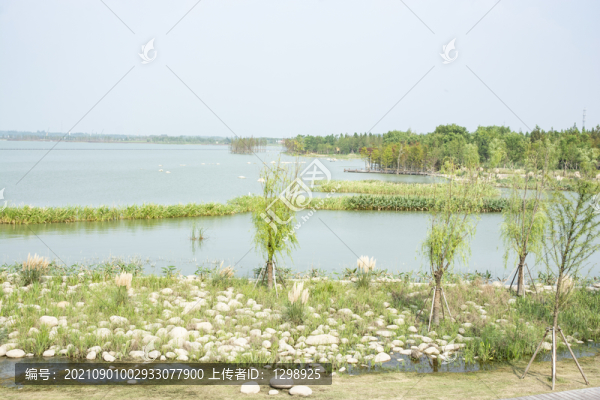 元蕩湖公園景觀