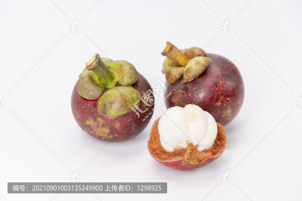 白底山竹