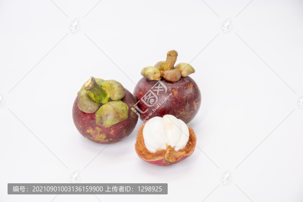 白底山竹