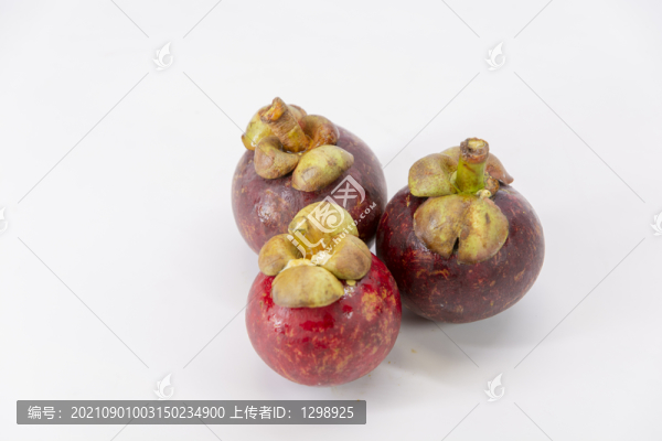 白底山竹