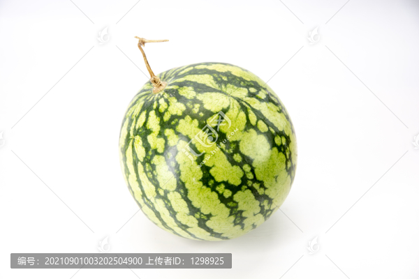 白底西瓜