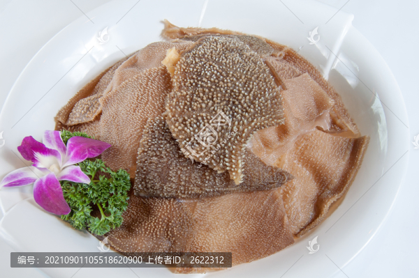 毛肚特寫(xiě)