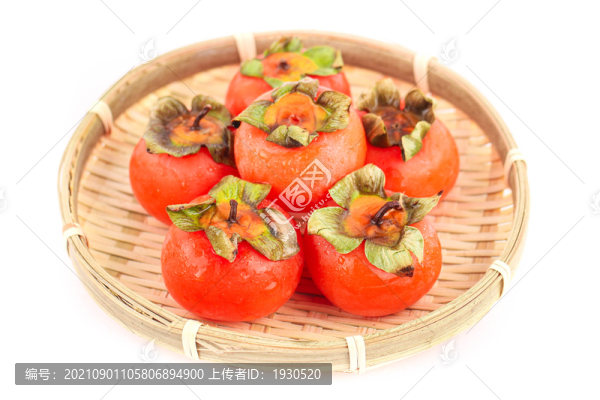 金錢柿