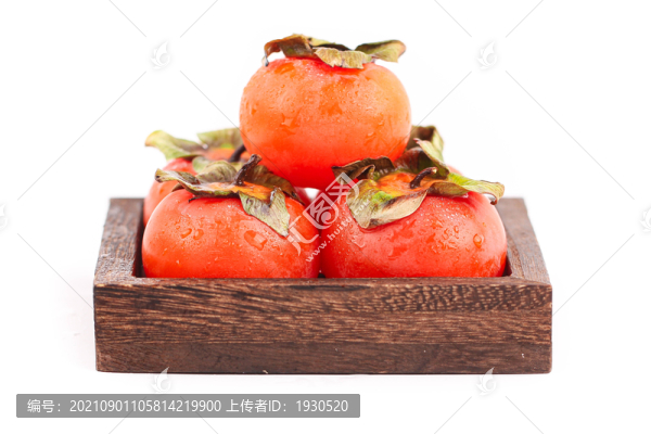 金錢柿