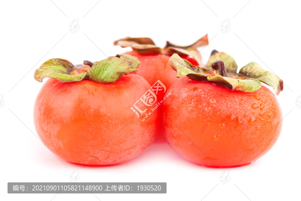 柿子