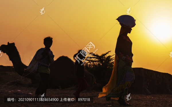 印度駱駝節(jié)