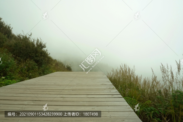 山頂云山霧罩
