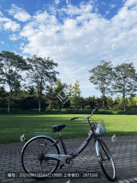 自行車風(fēng)景