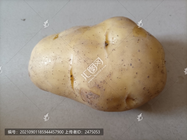 土豆