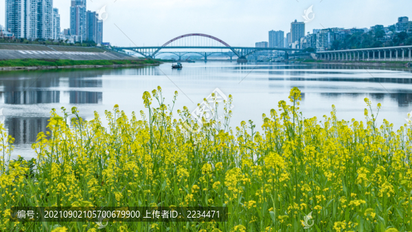 渠江春色