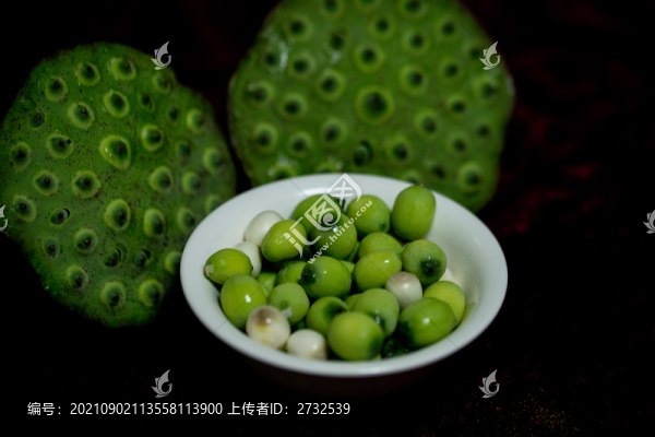 蓮蓬