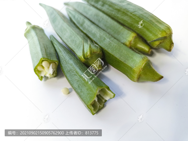 白色背景秋葵