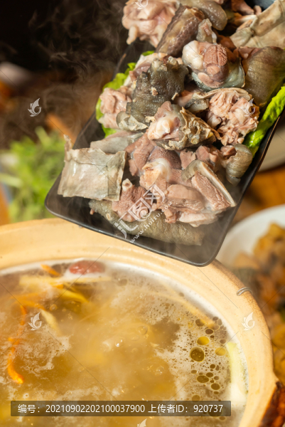 甲魚燜雞