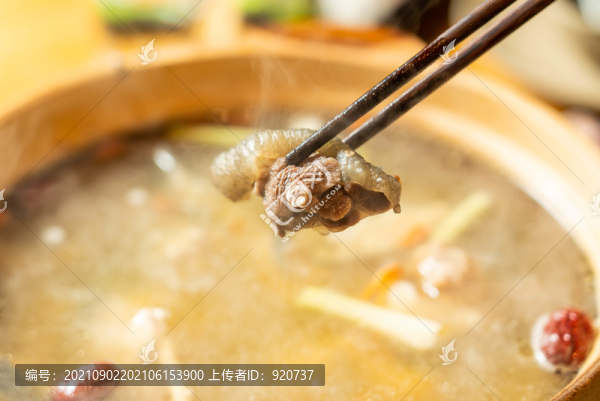 甲魚燜雞