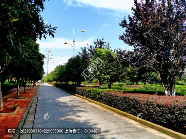 道路交通景觀綠化