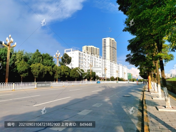 道路交通景觀綠化