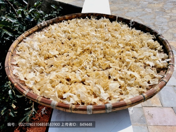 曬洋芋片