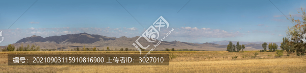 塔城巴克圖山