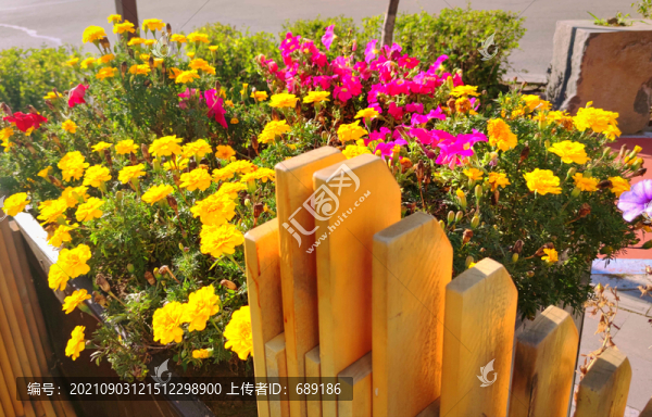 鮮花