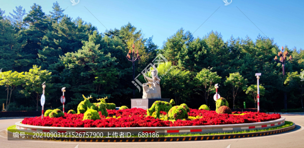 交通環(huán)島風景
