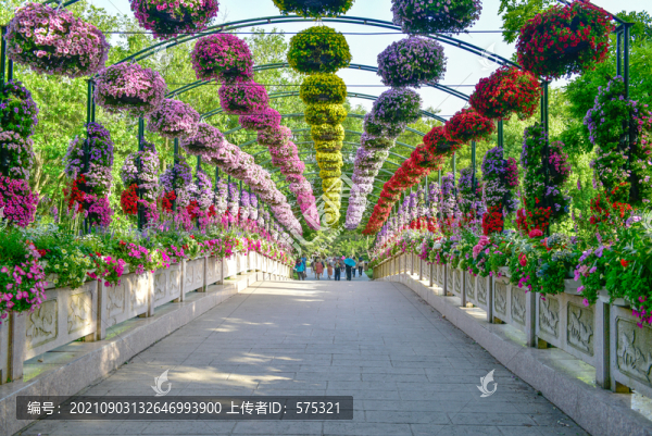 鮮花長廊