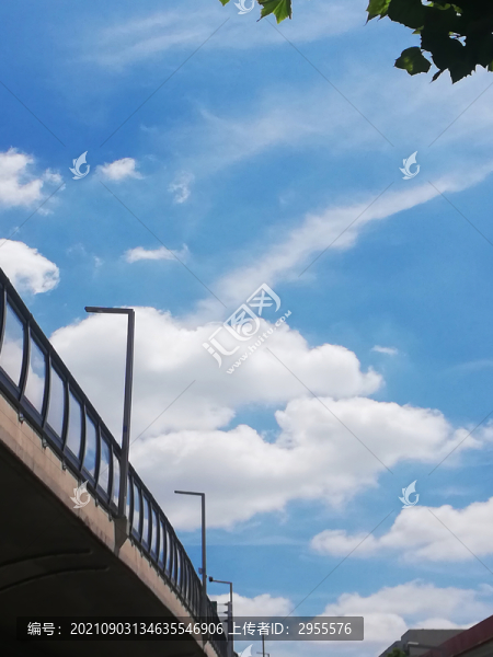 道路照明燈