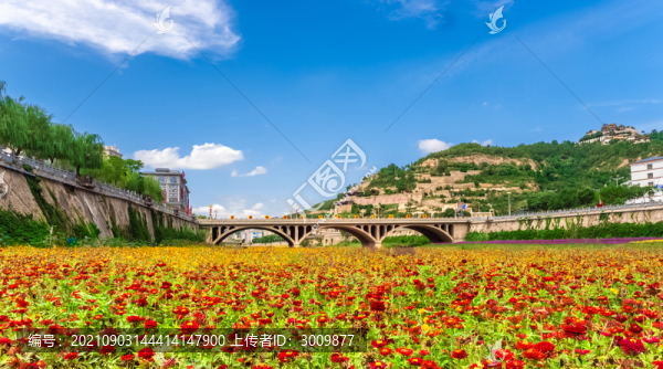 延河大橋