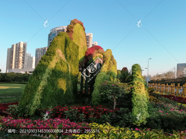 花壇