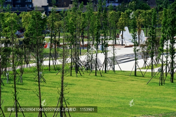 公園綠地