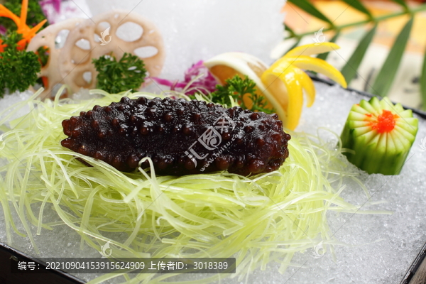 冰鎮(zhèn)海參