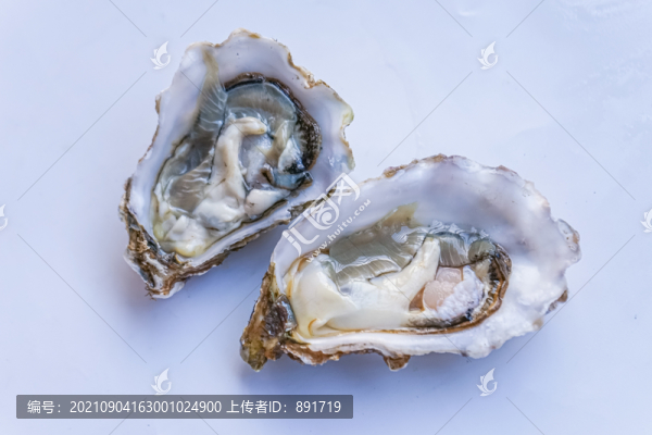 牡蠣