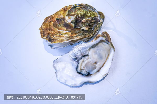 牡蠣