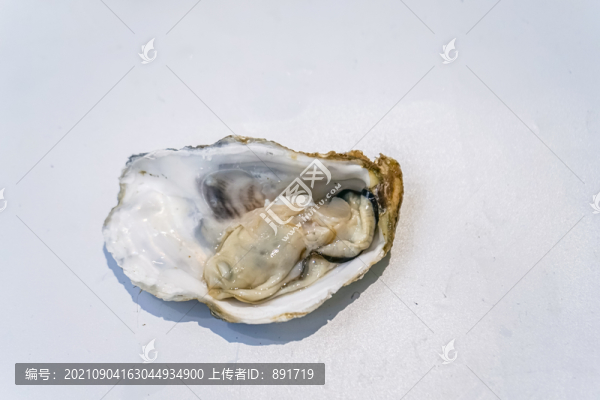 生蠔
