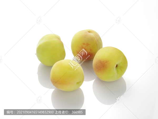 毛桃子