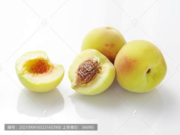 毛桃子白底圖