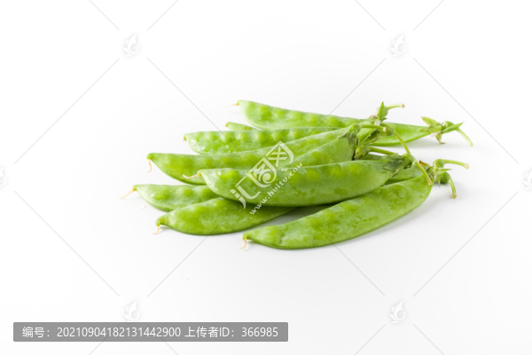 荷蘭豆白底圖