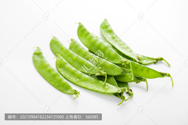 荷蘭豆