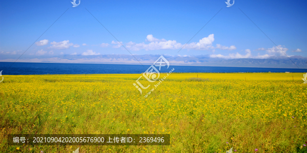 青海湖