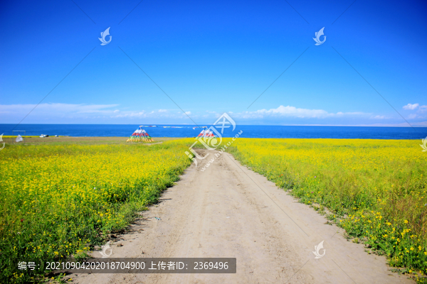 青海湖