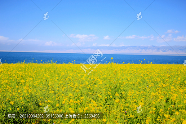 青海湖旅游風(fēng)光