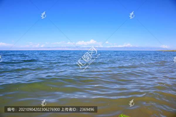 青海湖美景