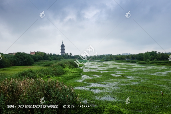 運(yùn)河生態(tài)景觀