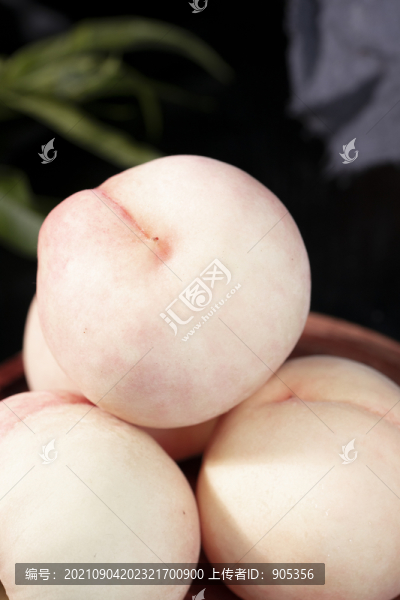 陽山水蜜桃