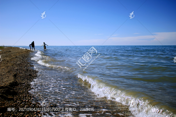 海岸線