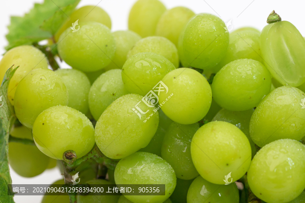 陽光玫瑰